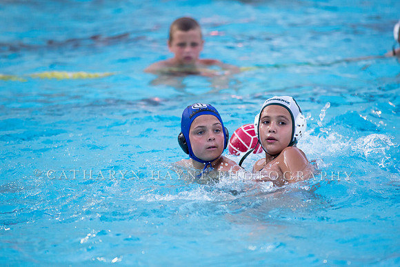 10U TPC vs Commerce at San Diego County Cup