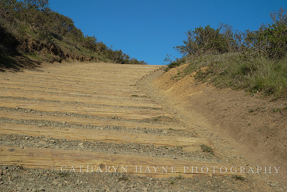 Tennessee Valley