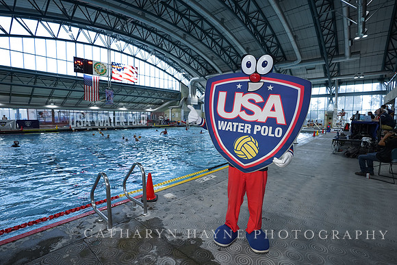 WWP: USA vs Hungary