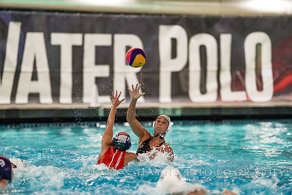 WWP: USA vs Hungary