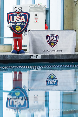 WWP: USA vs Hungary