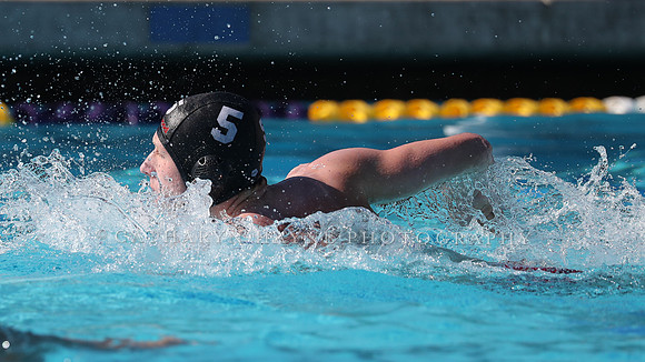 High School Water Polo: Redwood High School Varsity vs Palo Alto High School Varsity