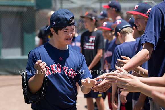 Project Awareness and Special Sports Baseball,