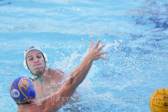 MWP: Salem University Tigers vs UCLA Bruins