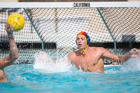 Cal Alumni Game