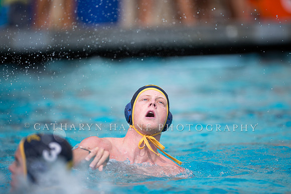 Cal Alumni Game