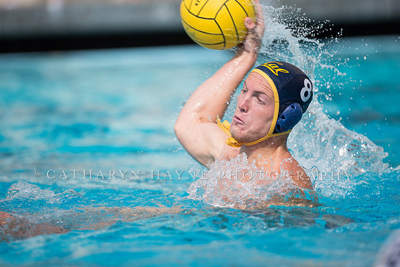 Cal Alumni Game