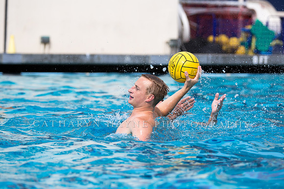 Cal Alumni Game