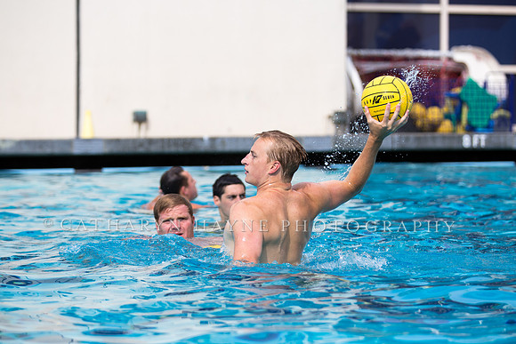 Cal Alumni Game