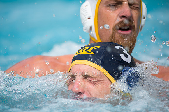 Cal Alumni Game