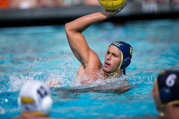 Cal Alumni Game