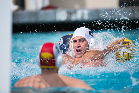 Cal Alumni Game