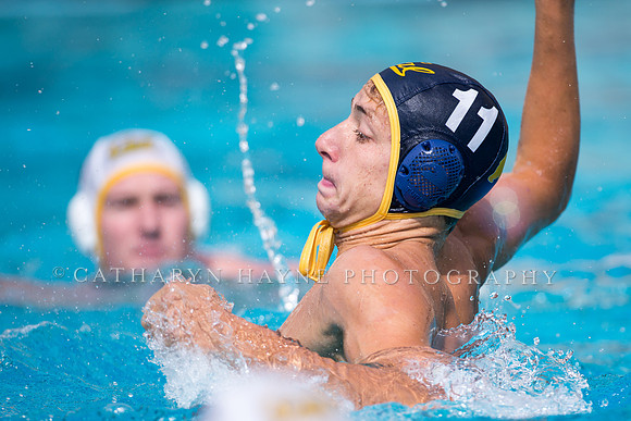 Cal Alumni Game