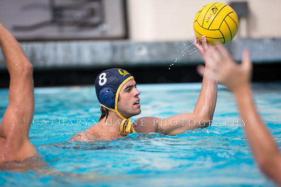 Cal Alumni Game