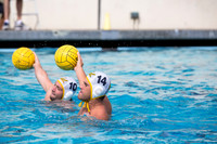 Cal Alumni Game