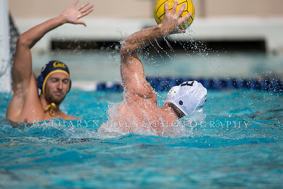 Cal Alumni Game