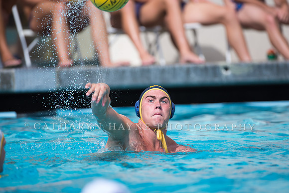 Cal Alumni Game
