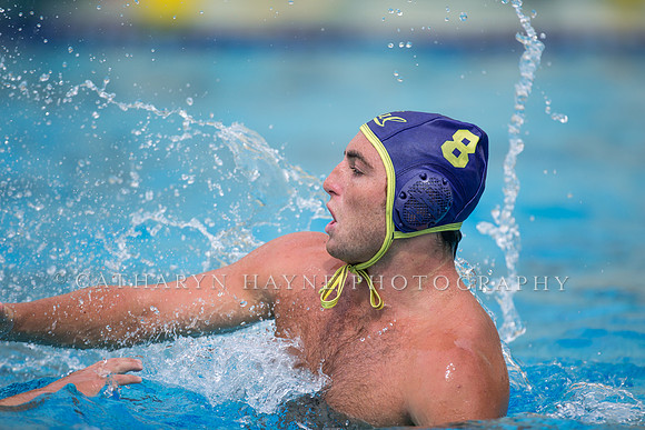 Cal Alumni Game