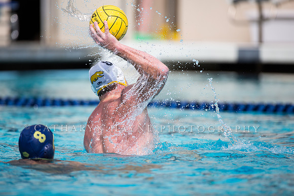 Cal Alumni Game