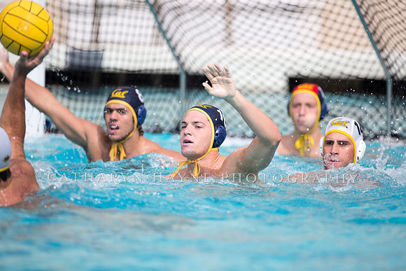 Cal Alumni Game