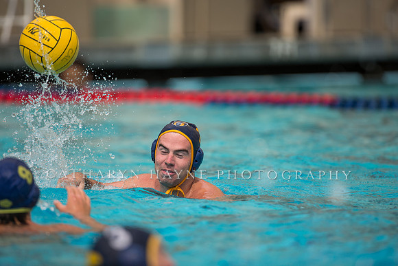 Cal Alumni Game