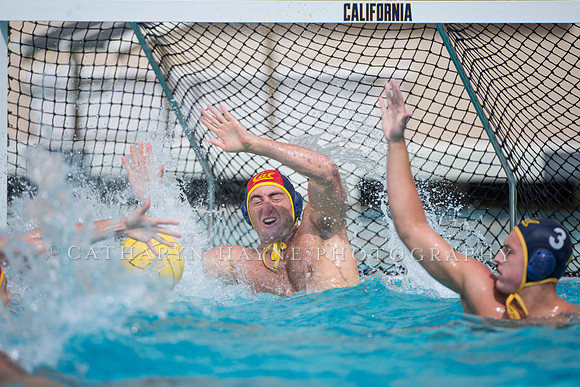 Cal Alumni Game