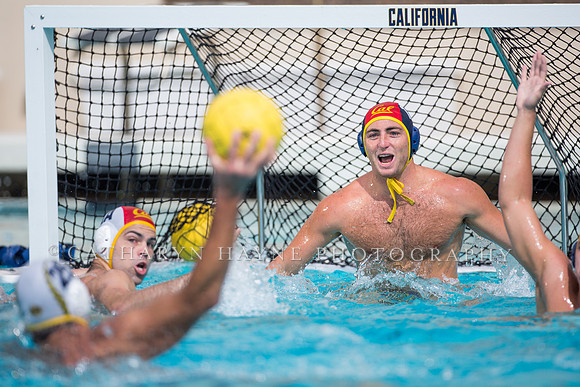 Cal Alumni Game