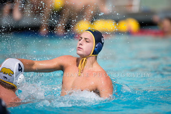 Cal Alumni Game