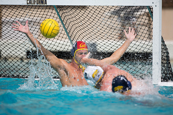 Cal Alumni Game