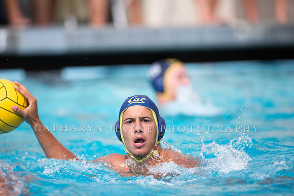 Cal Alumni Game