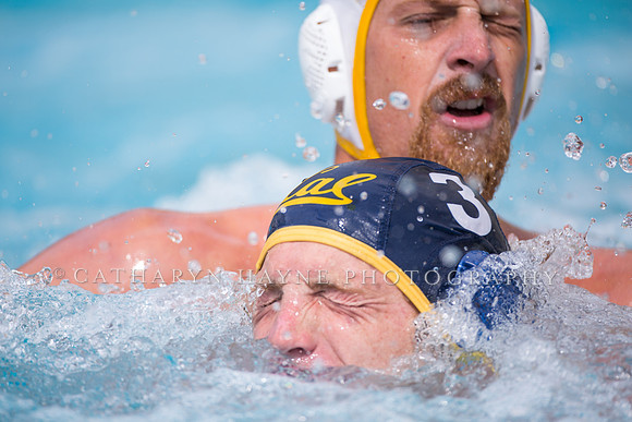 Cal Alumni Game