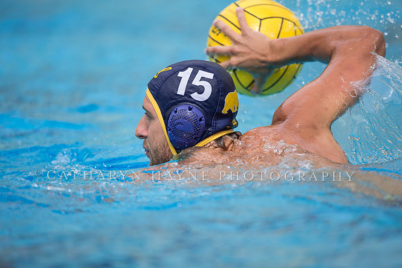 Cal Alumni Game