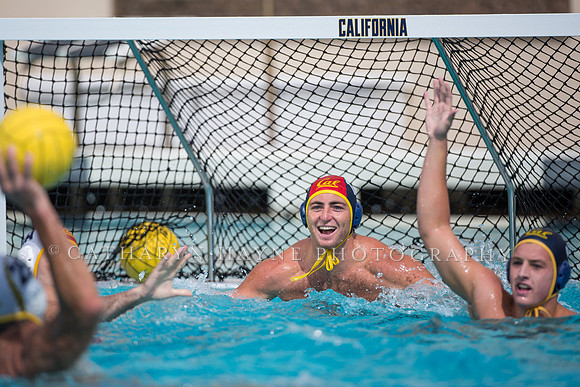 Cal Alumni Game