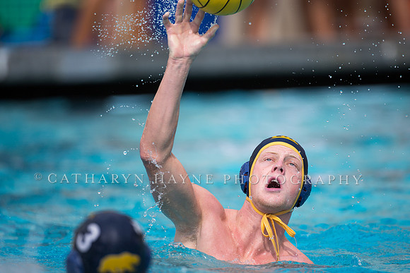Cal Alumni Game