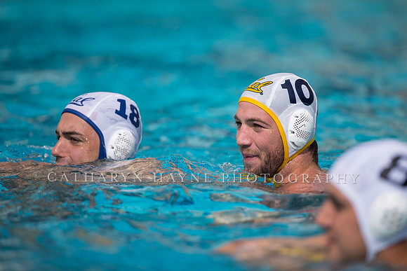 Cal Alumni Game