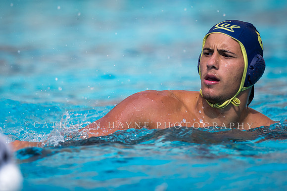 Cal Alumni Game
