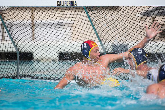 Cal Alumni Game