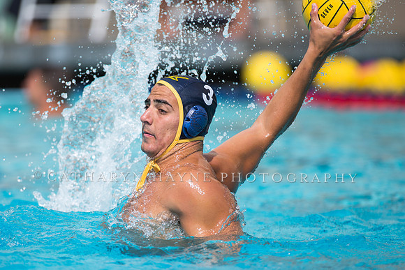 Cal Alumni Game