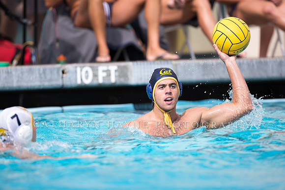 Cal Alumni Game