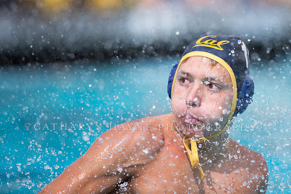 Cal Alumni Game
