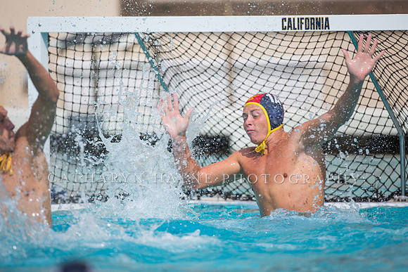 Cal Alumni Game