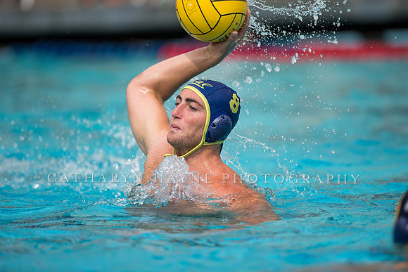 Cal Alumni Game