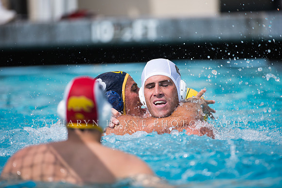 Cal Alumni Game