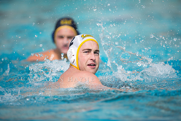 Cal Alumni Game