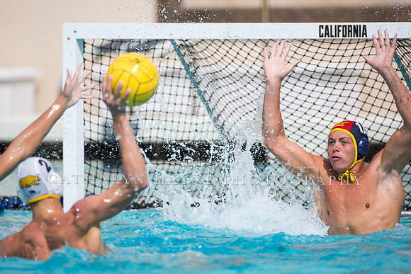 Cal Alumni Game