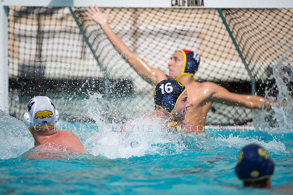 Cal Alumni Game