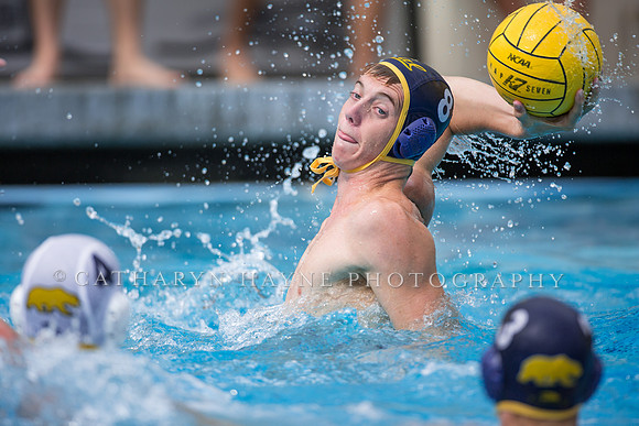 Cal Alumni Game