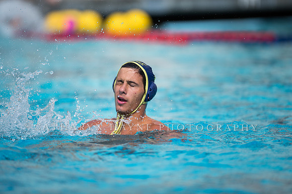 Cal Alumni Game