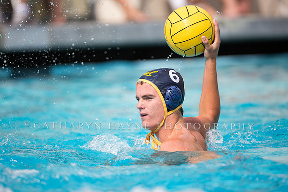 Cal Alumni Game