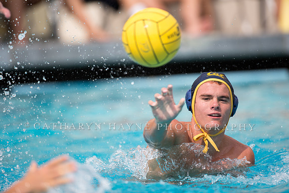 Cal Alumni Game